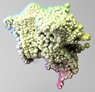在有机组织人体3D转化图片