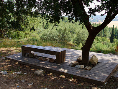 现代设计板凳由林木制成在一个俯视美丽图片