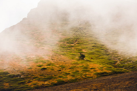 查蒂尔达格ChatyrDag山的秋季雾景背景