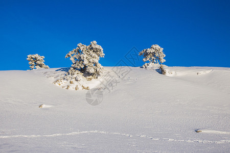 冬季山区景观雪和太阳图片