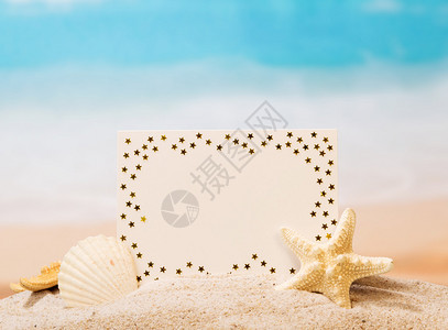 空白的卡海星和贝壳在沙滩上对着大海图片