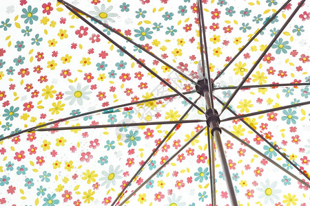 为恶劣天气冬季或保护而雨滴在花朵伞上图片