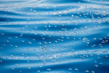 深蓝色大海背景中的贝莱拉水母图片