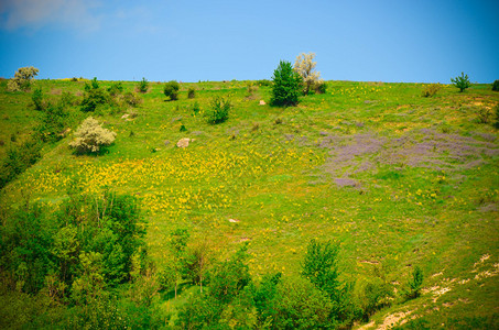 夏天有黄色和紫色花朵的山景图片