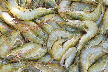 食品工业海鲜虾在海产食品图片