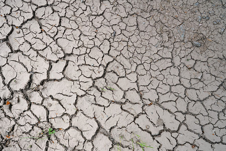 夏天在田野上干涸的土地图片