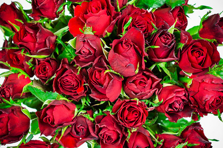 红玫瑰背景爱的自然质感图片