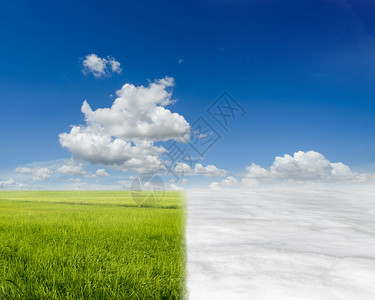 稻田和季节变化概念图片