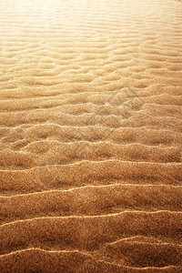 退潮时有波纹图案的背景沙子图片