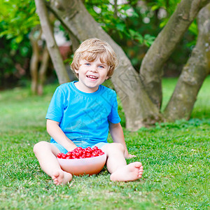 金发小男孩在温暖的夏日户外的家庭花园里吃樱桃夏季儿童健康快餐孩子们图片