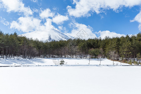 雪中的冬季公园景观图片