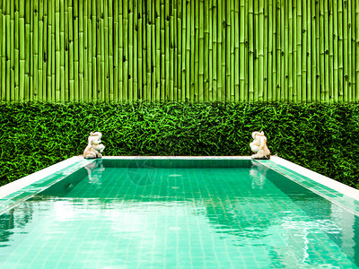 游泳池和绿植物竹墙壁背景的温背景图片