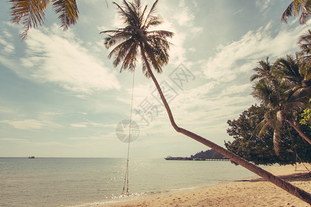 复古海滩上的椰子树图片