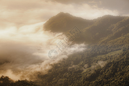 晨雾中的山峦图片