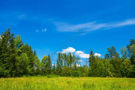 美丽的夏日有蓝天和云在图片