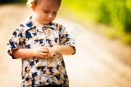 小男孩在玩大甲虫夏天的儿童肖像图片
