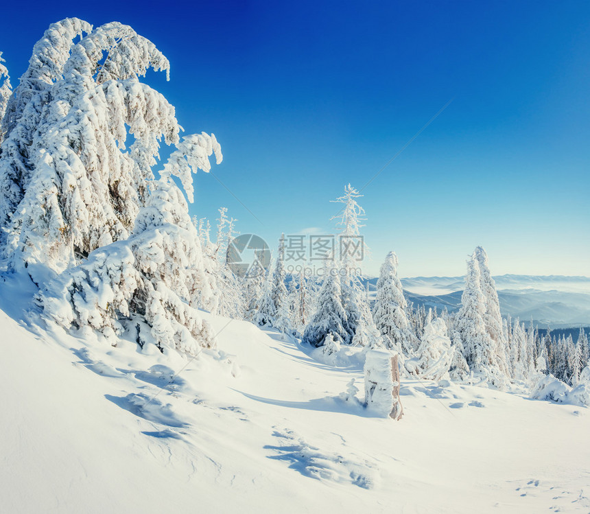 般的冬季景观和白霜中的树一个寒冷和阳光明媚的日子是在山上期待假期Instagram色调效果喀尔巴阡图片