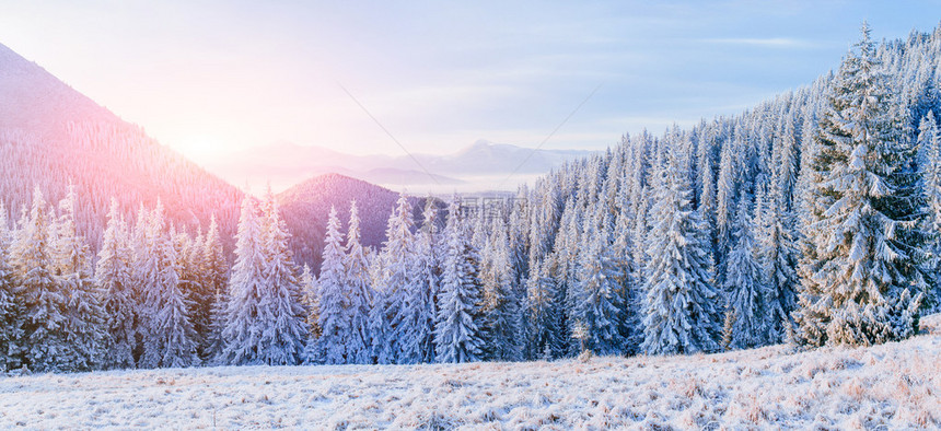 在山的美妙的冬天风景在寒冷的一天神奇的日落戏剧寒冷场景假期喀尔巴阡图片