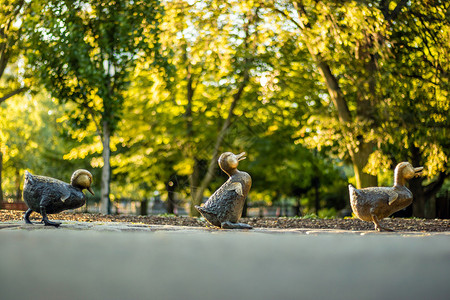 波士顿公共花园及其著名的鸭子图片