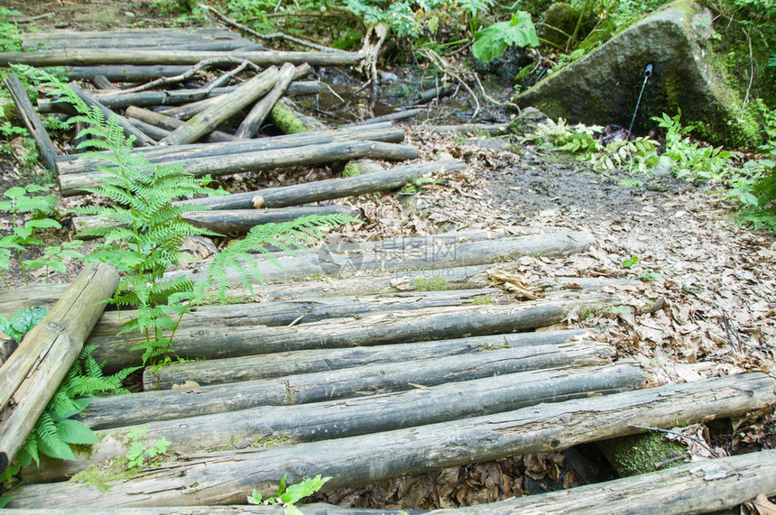 森林中溪流上的旧烂桥图片
