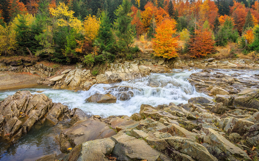 美丽的风景秋天森林里的山河图片