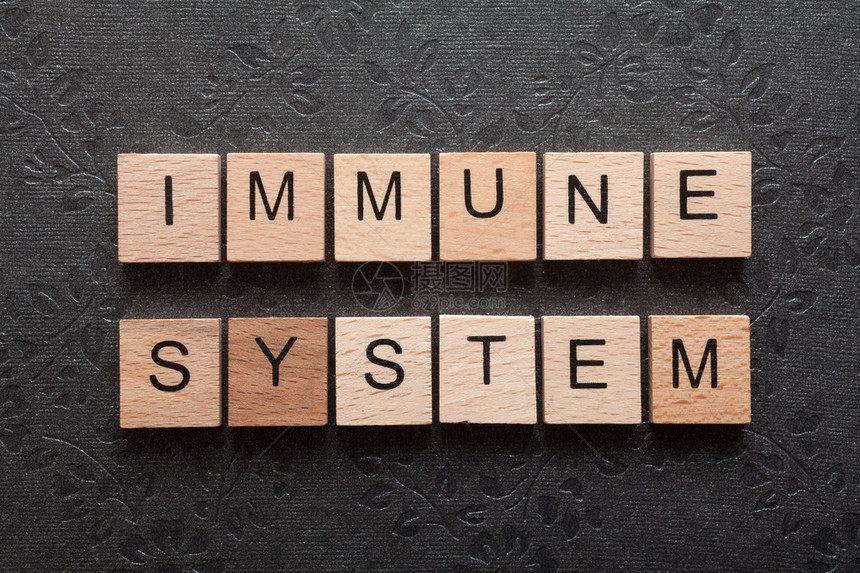 免疫系统一词由黑暗背景上木图片