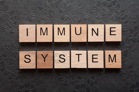 免疫系统一词由黑暗背景上木图片