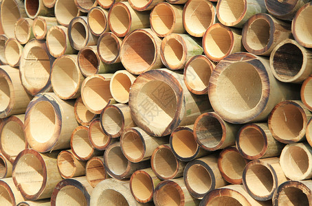 竹的瓷砖图片