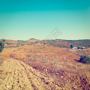 为葡萄牙种植藤树准备的播种平台背景图片