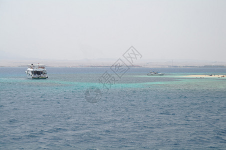 海滨是红海的一个珊瑚岛关闭的蓝海图片