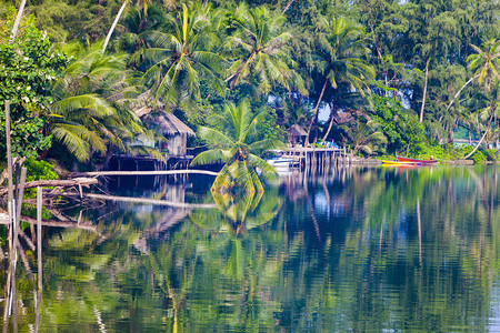椰子树中的自然度假胜地图片