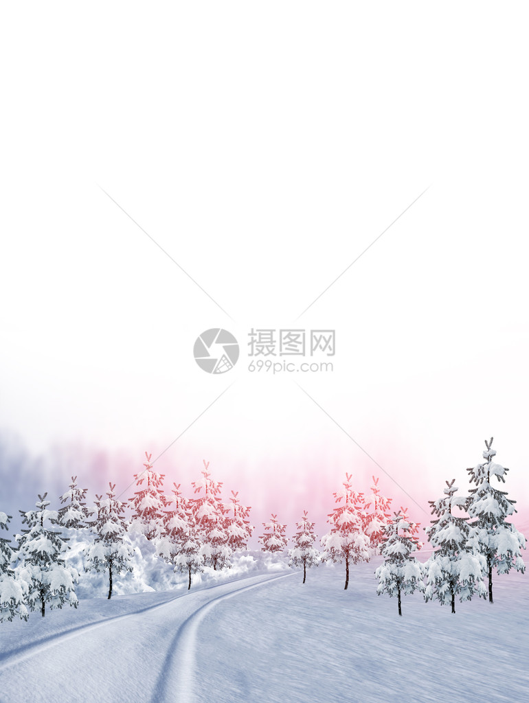 冬季森林白雪覆盖的树木图片