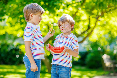 两个学龄前小男孩在夏日花园里吃红色和黄色的西瓜图片