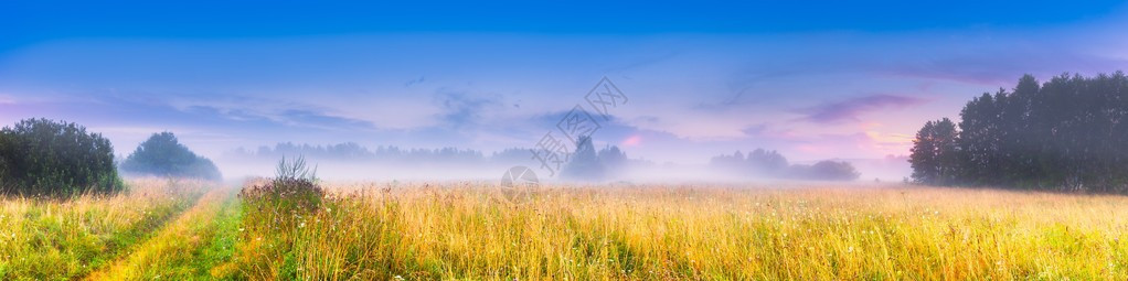 野生有雾的草甸景观日落或日出天空和雾下的夏季草原图片
