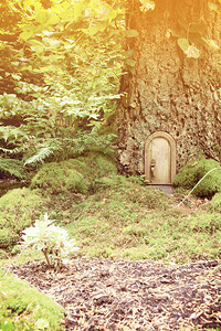 树干里有古老的童话故事门图片