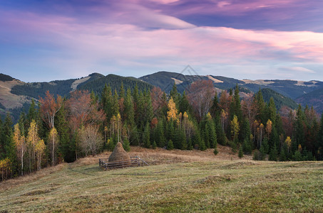 在日落的秋天风景山村草地上的干草堆天空与美丽的云彩喀尔巴阡山脉图片