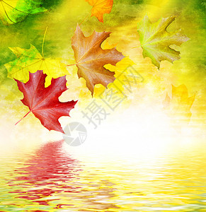 秋季风景美丽的叶子景观图片