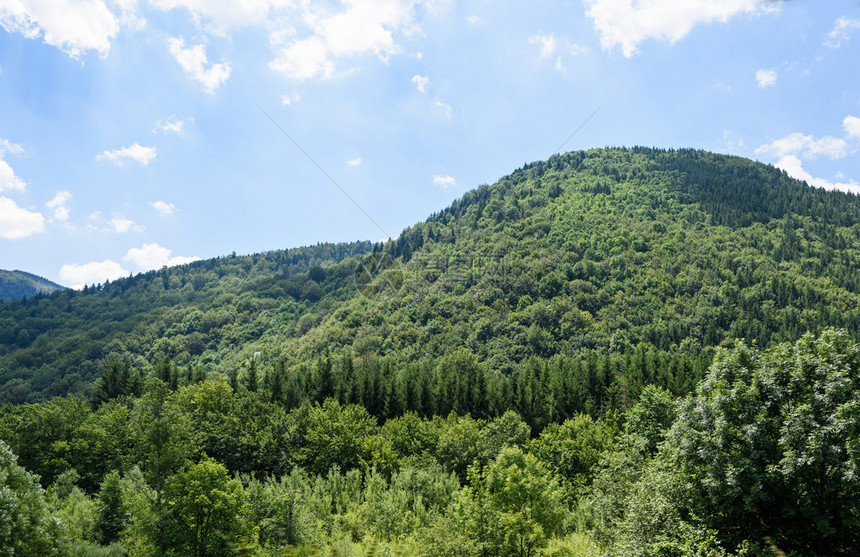 清晨罗马尼亚布拉索夫山脉绿林照片在Br图片