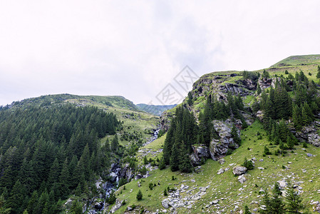 在罗马尼亚的Gayaras山上图片