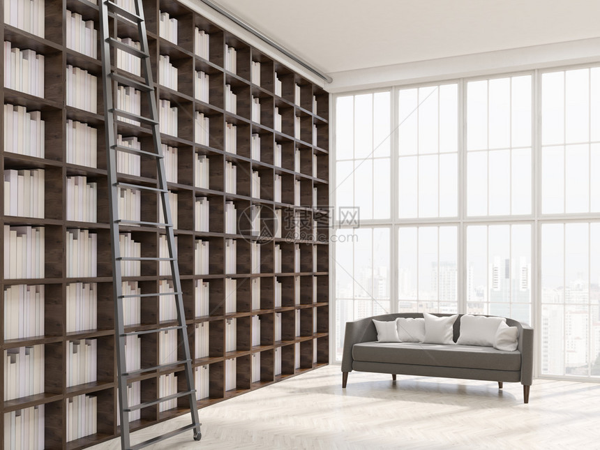 纽约现代公寓内住家图书馆长书架梯子和带枕头的沙发图片