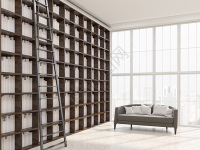 纽约现代公寓内住家图书馆长书架梯子和带枕头的沙发图片