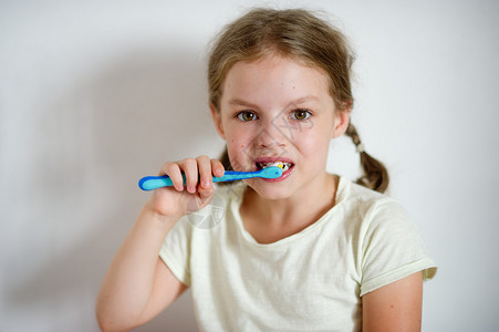 扎着辫子的小女孩正在努力刷牙图片