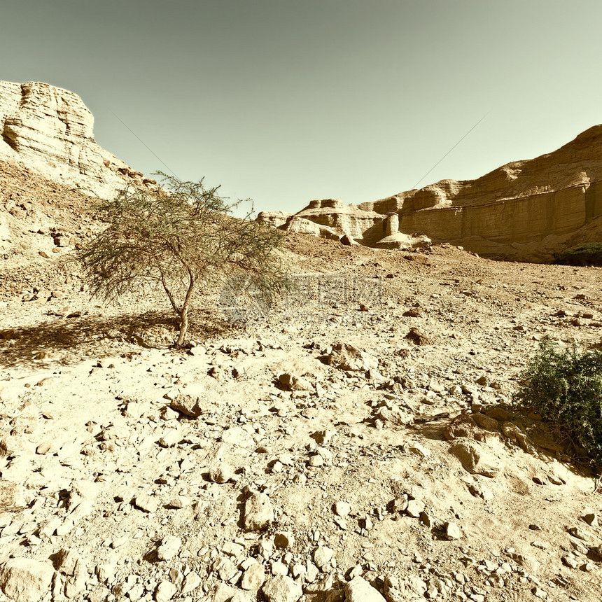 约旦河西岸的Judean沙漠图片