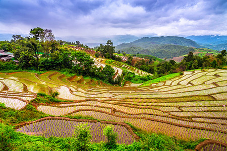 泰国清迈MaeChaem区PaBongPiang图片