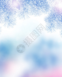 冬季风景雪覆盖树木圣诞节图片