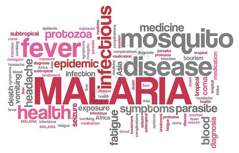 非洲亚洲和拉丁美洲的疟疾旅行者疾病图片
