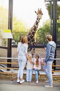 动物园里有长颈鹿的家庭图片