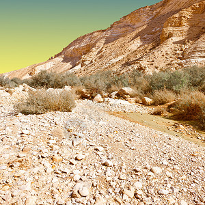 以色列日落内盖夫沙漠的CanyonEnA图片