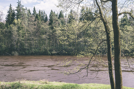 在森林中美丽的河流水流两侧都有反射和树木古代胶图片