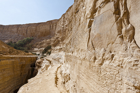 以色列内盖夫沙漠的CanyonEnA图片
